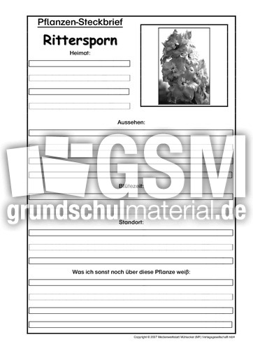 Pflanzensteckbrief-Rittersporn-SW.pdf